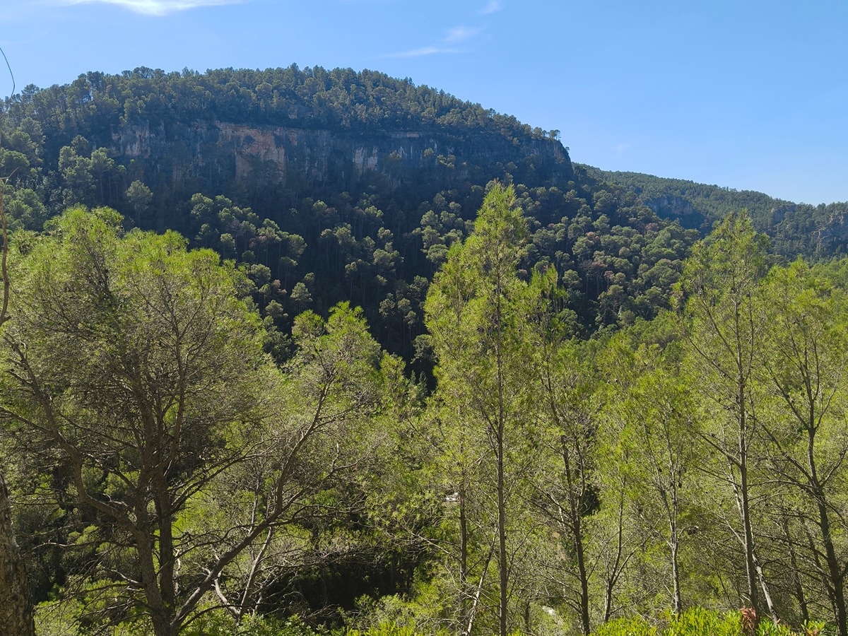 trail image
