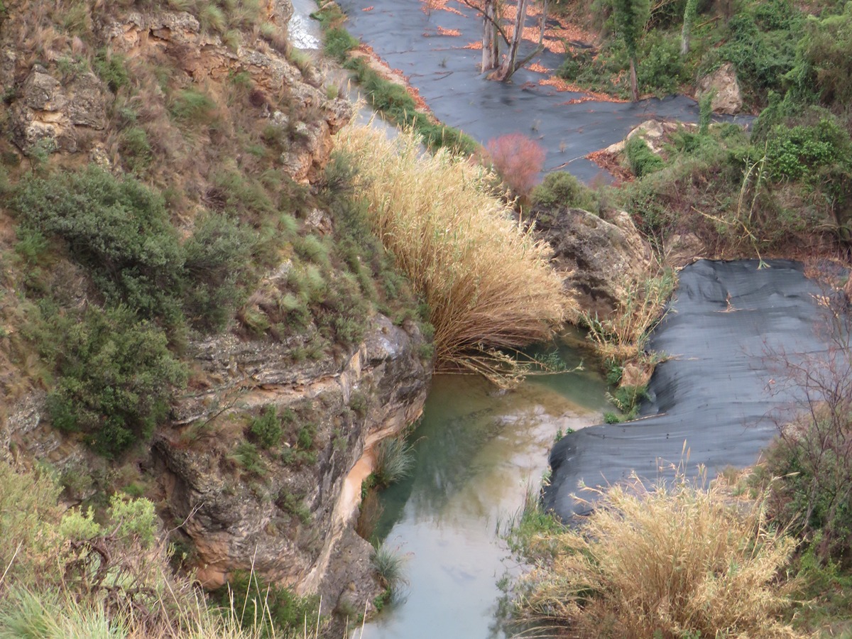 imagen del sendero