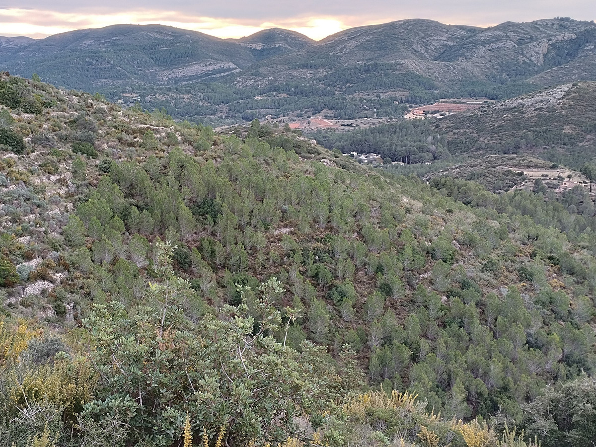 imagen del sendero