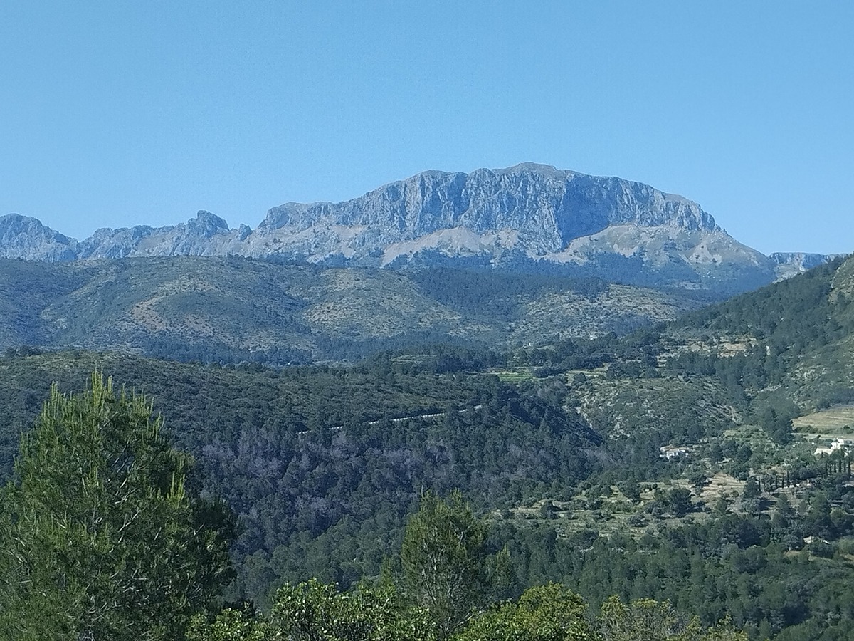 imagen del sendero