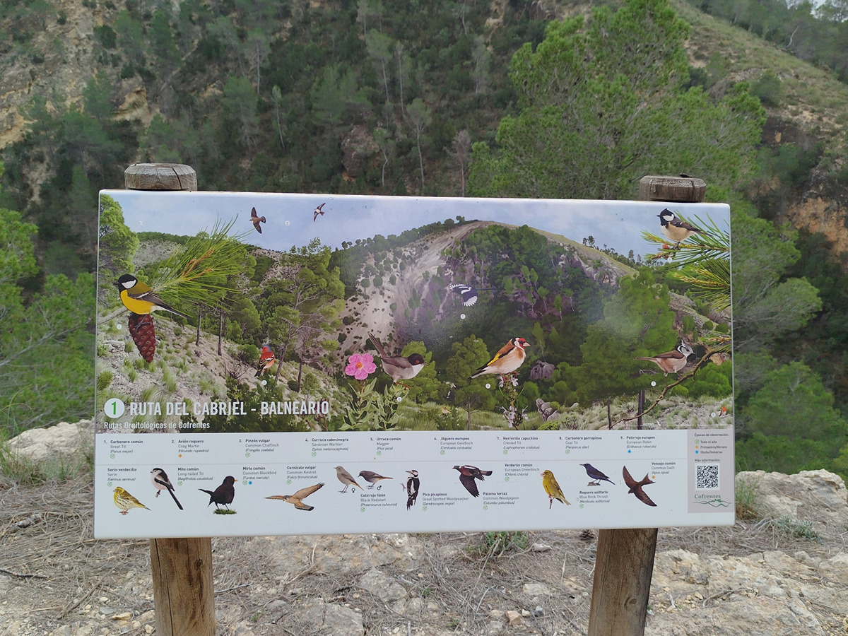 trail image