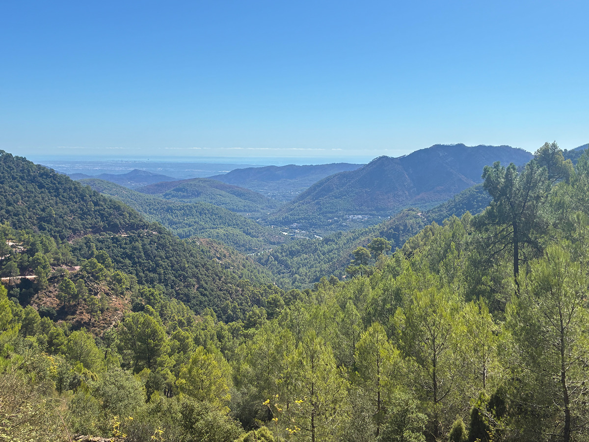 trail image