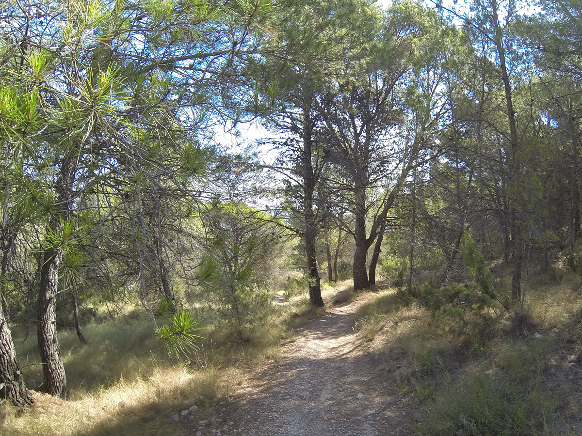 imagen del sendero