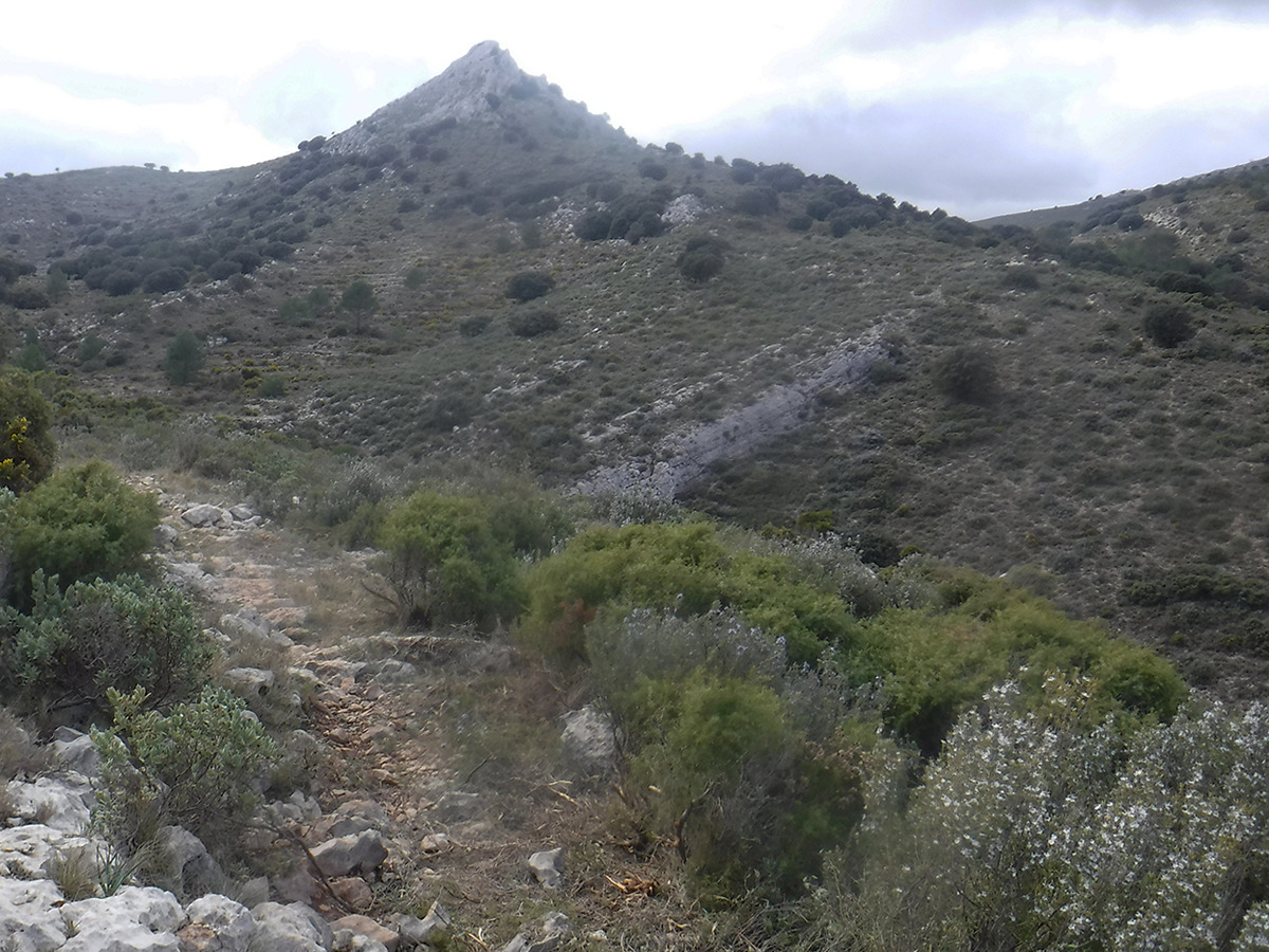 trail image