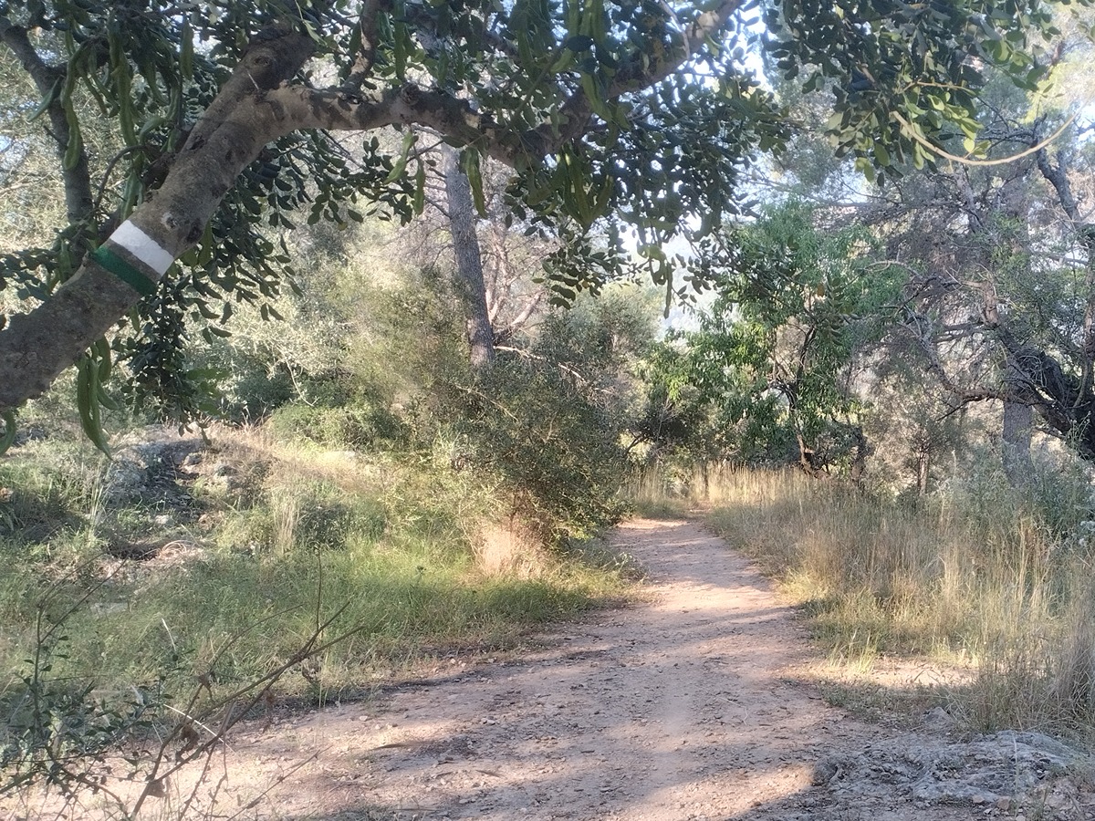 imagen del sendero