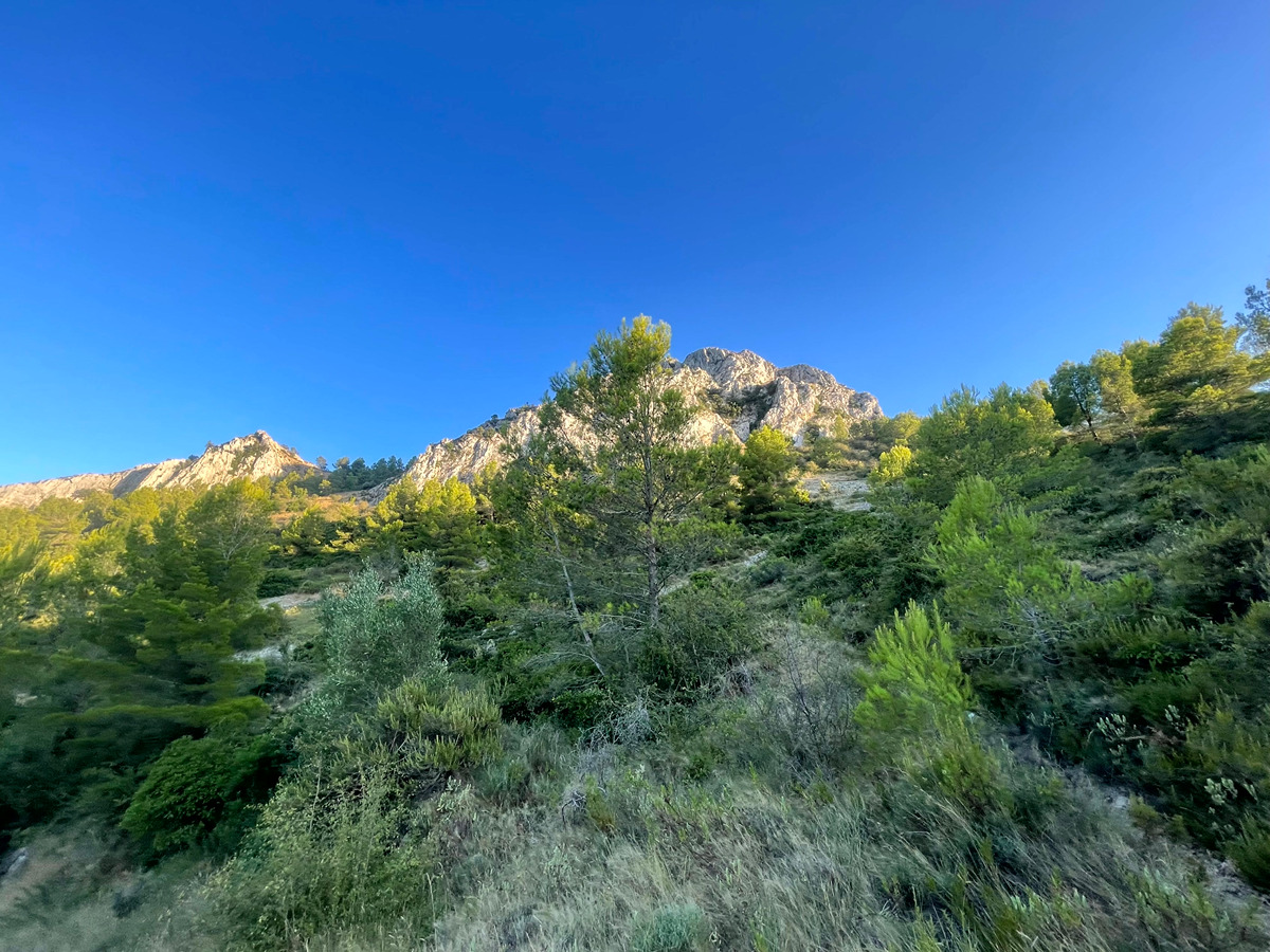 trail image