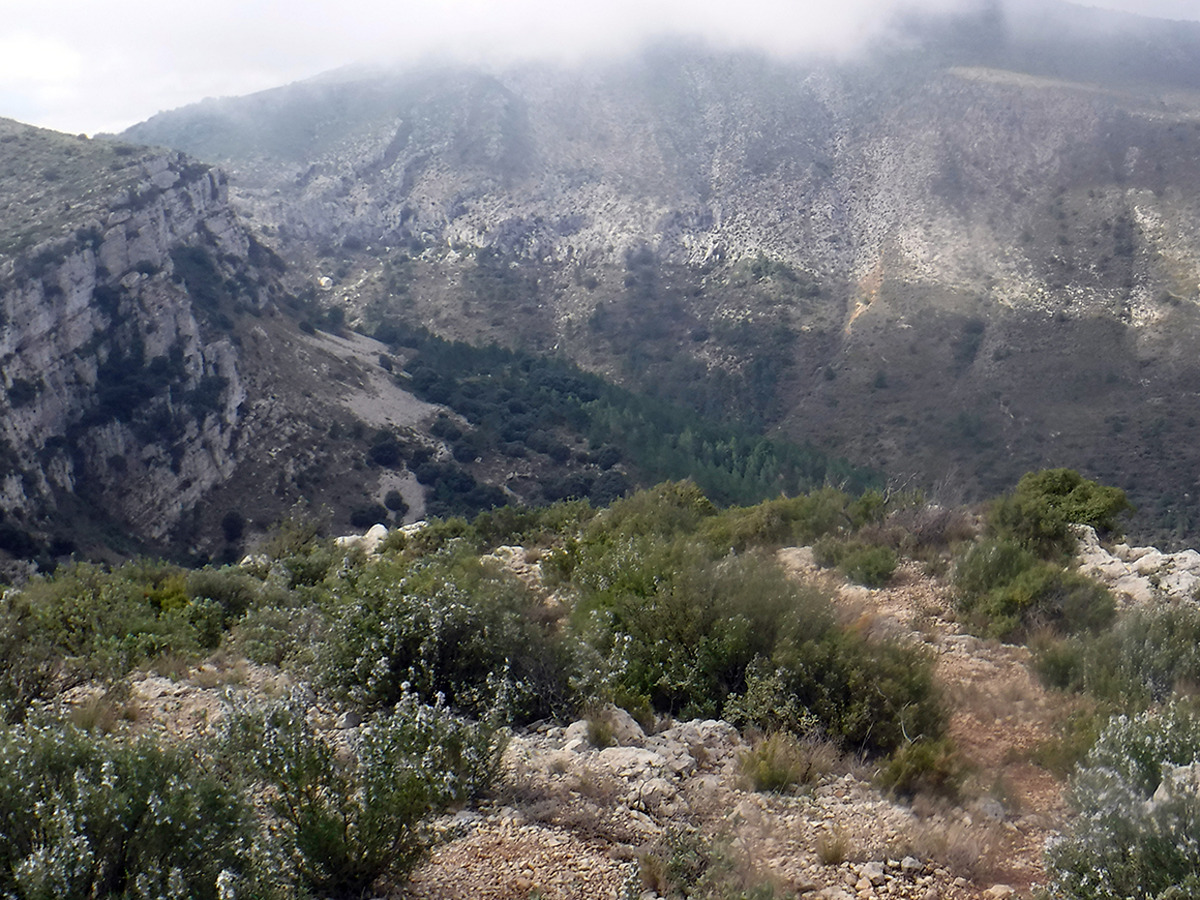 trail image