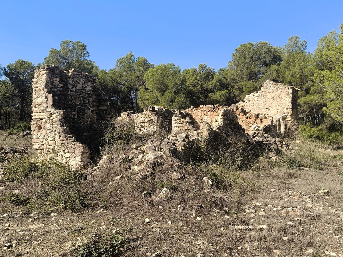 trail image