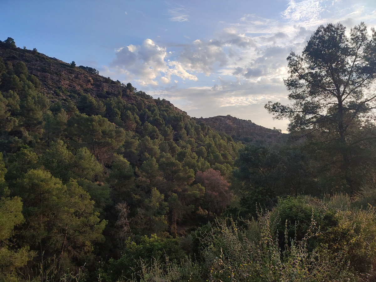 trail image