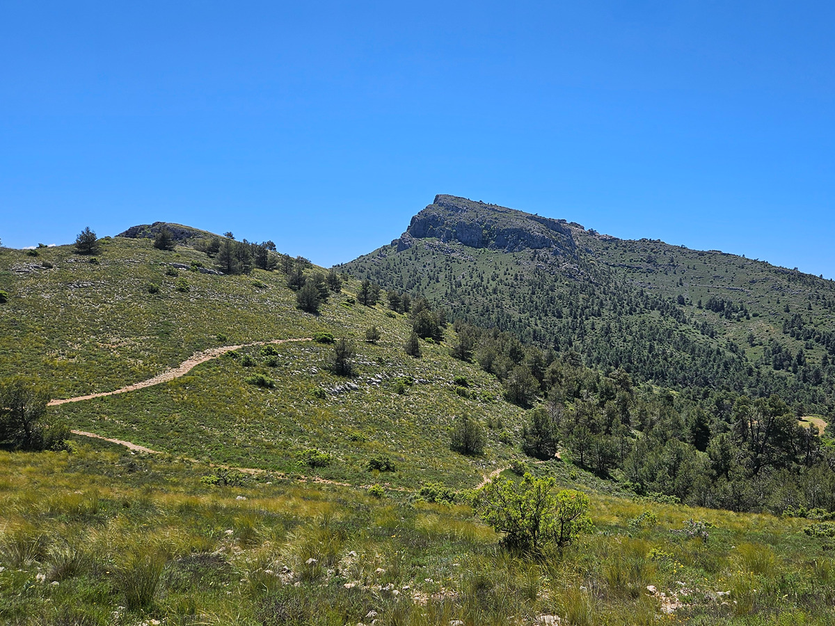 trail image