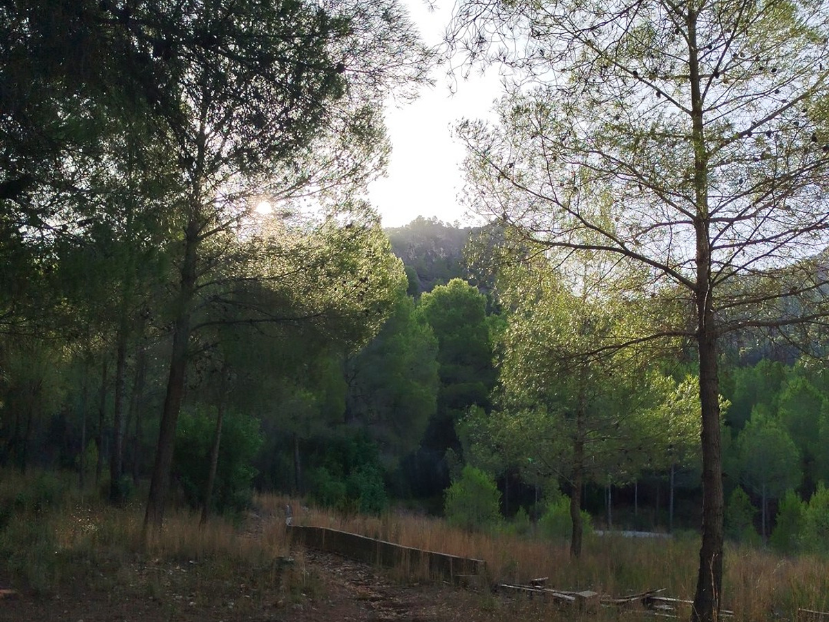 imagen del sendero