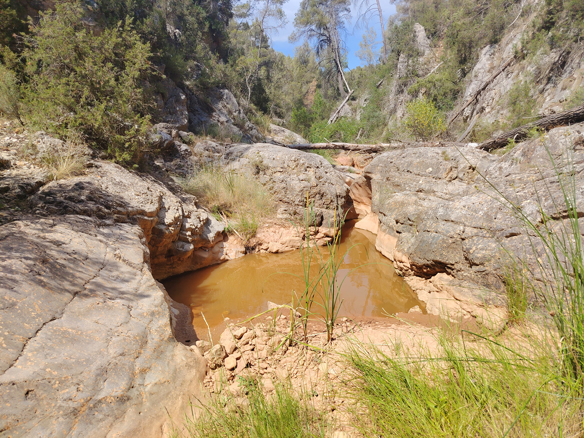 imagen del sendero