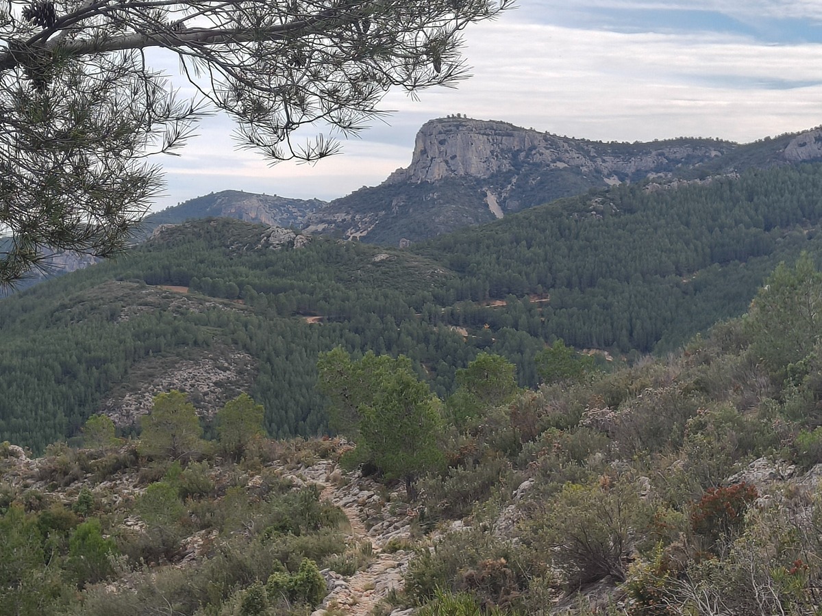 imagen del sendero
