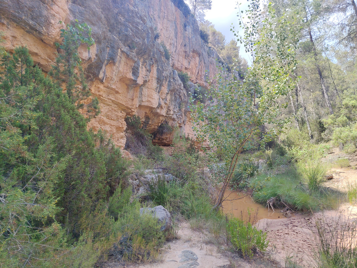 imagen del sendero