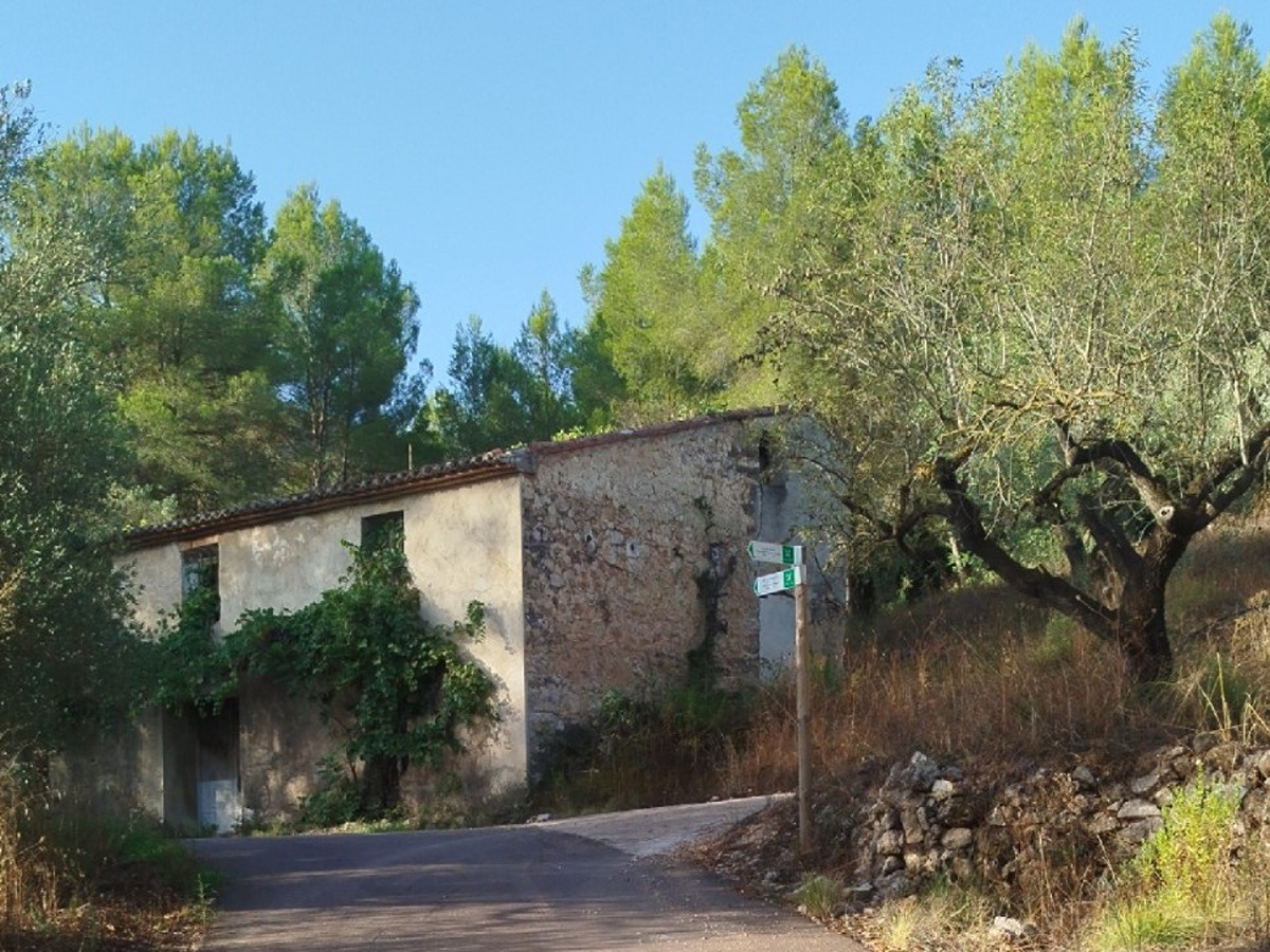 trail image