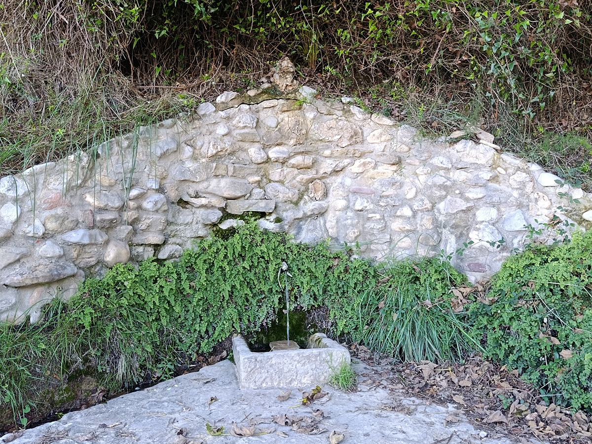 trail image