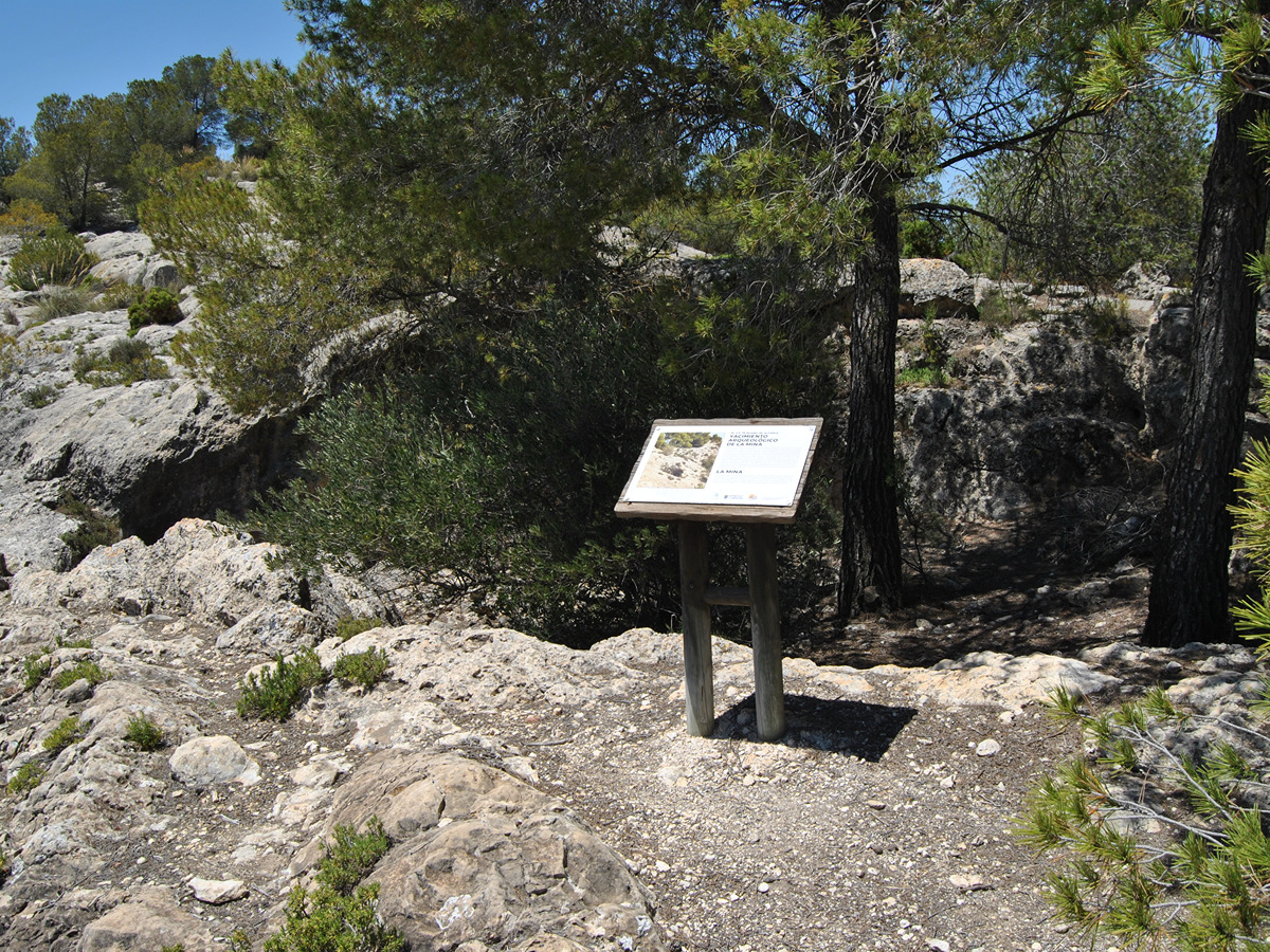imagen del sendero