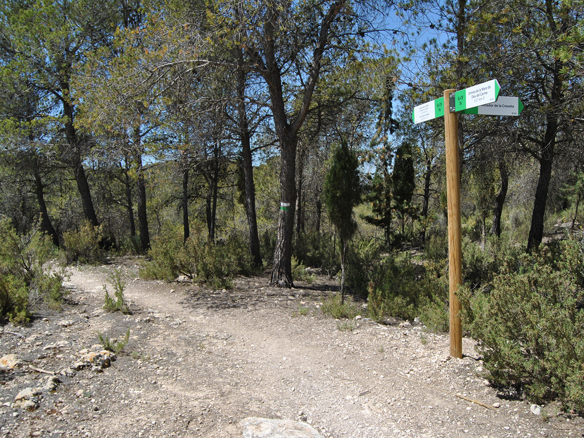 imagen del sendero