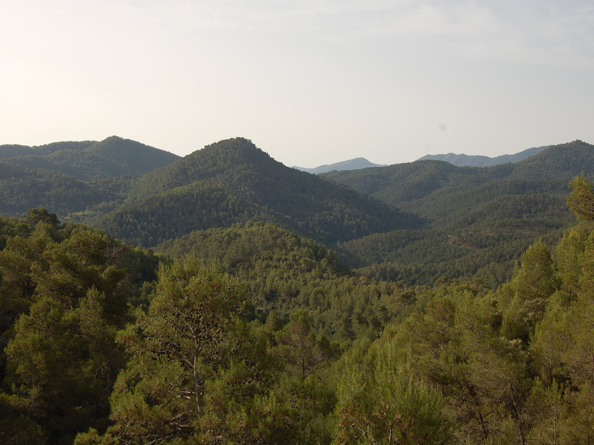 trail image