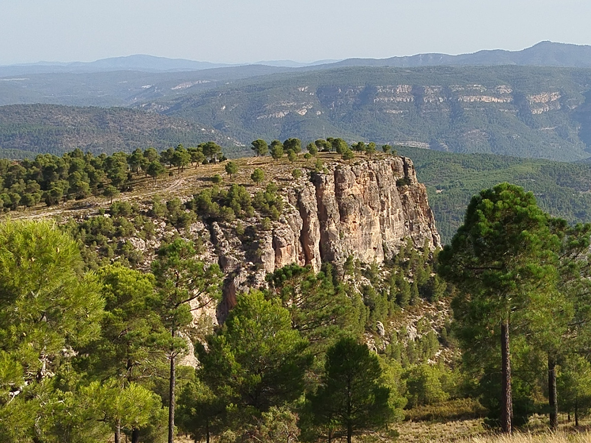 trail image