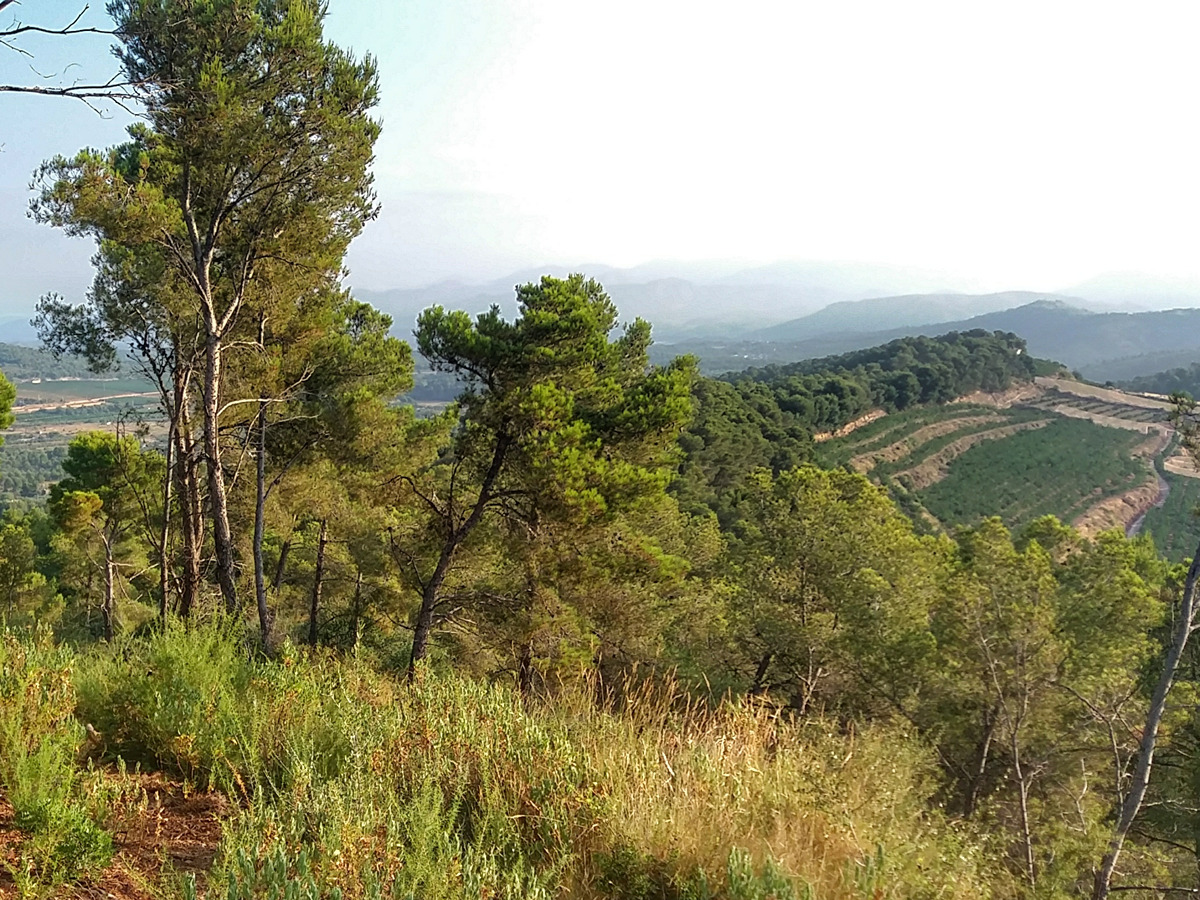 trail image