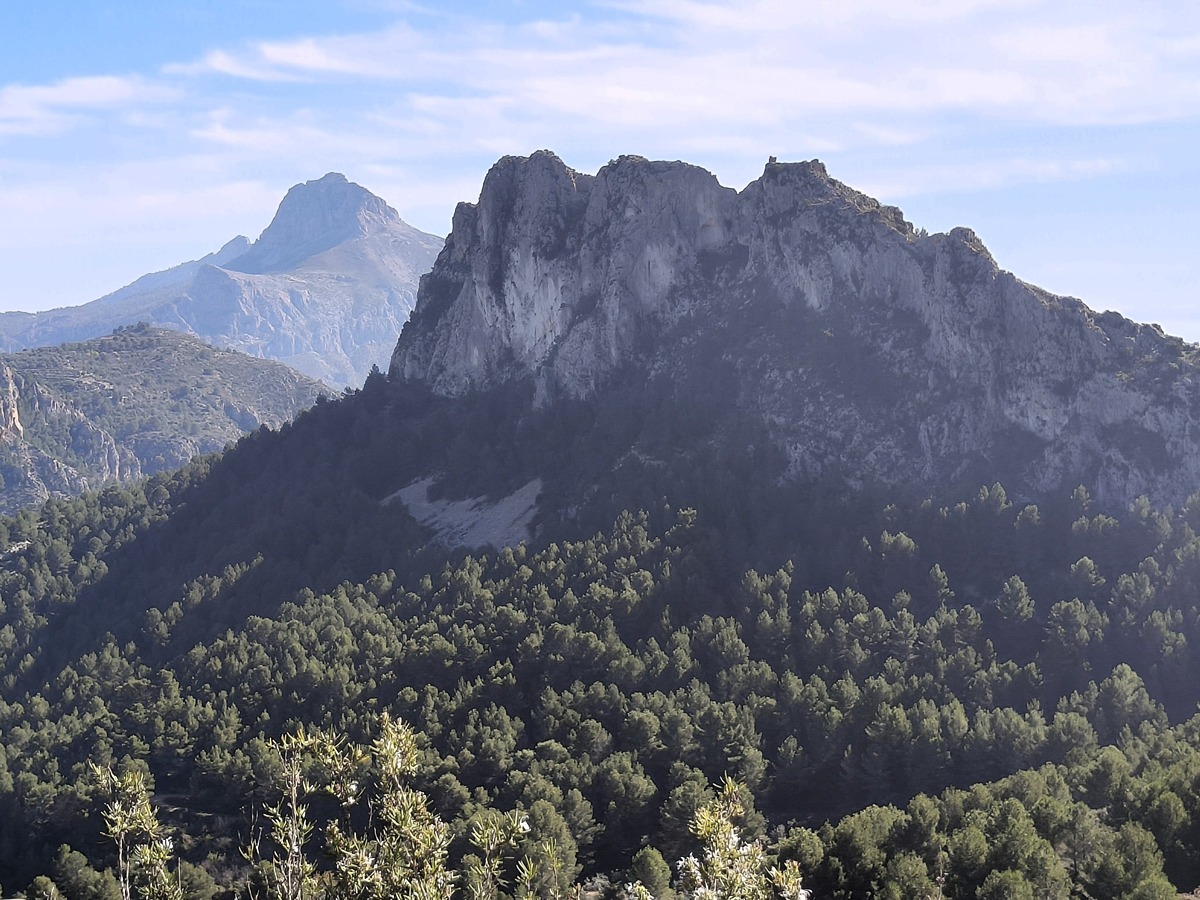 imagen del sendero