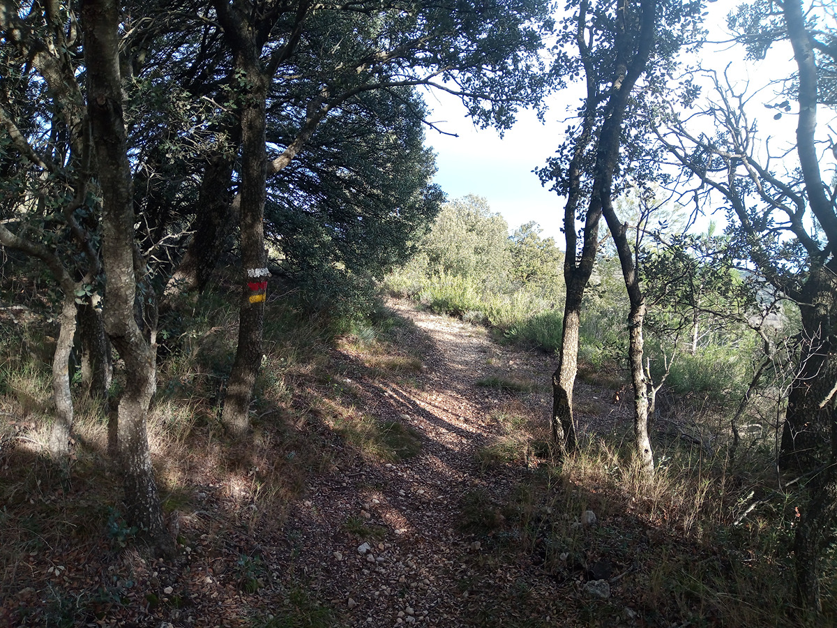 imagen del sendero