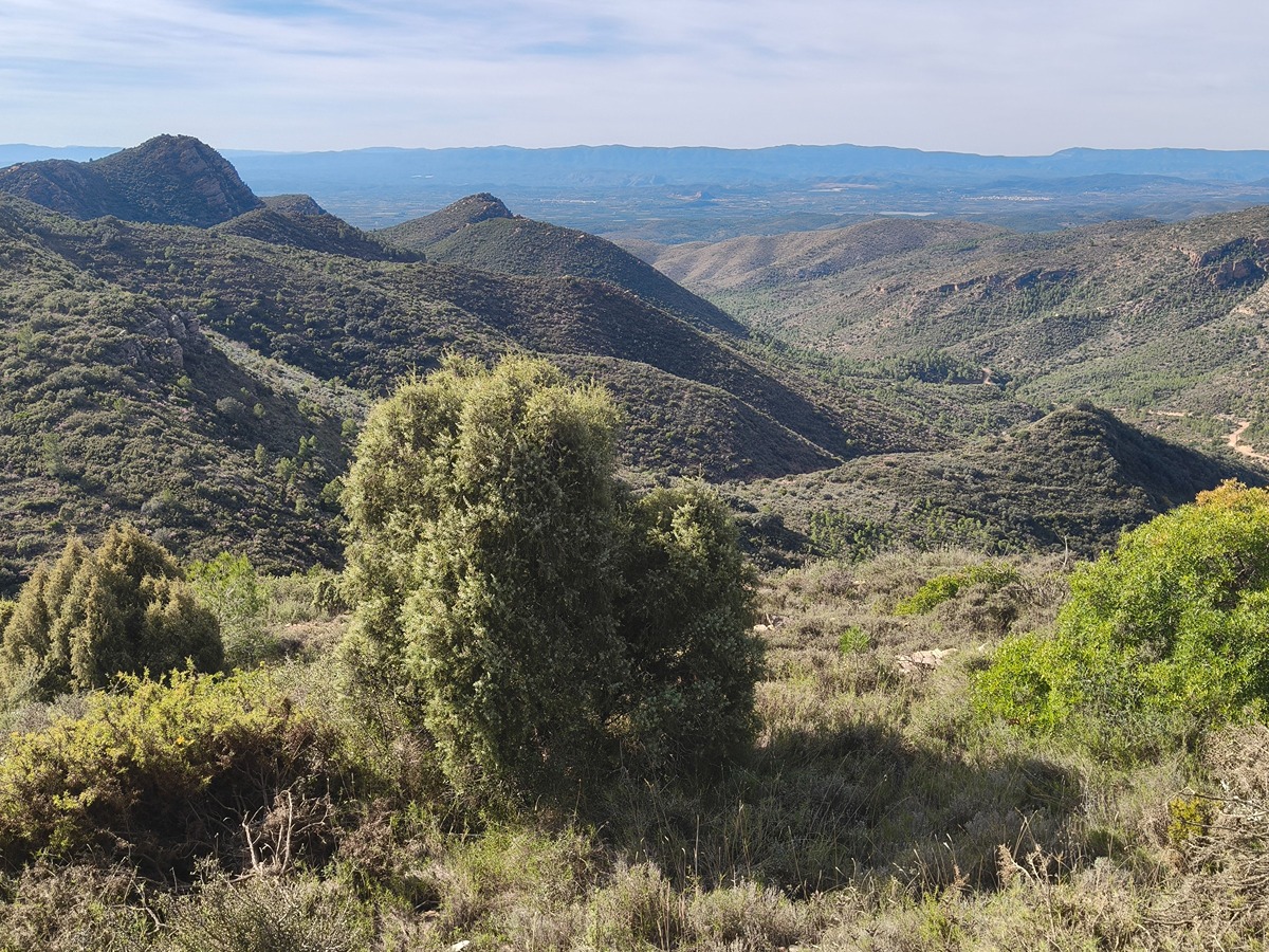 imagen del sendero