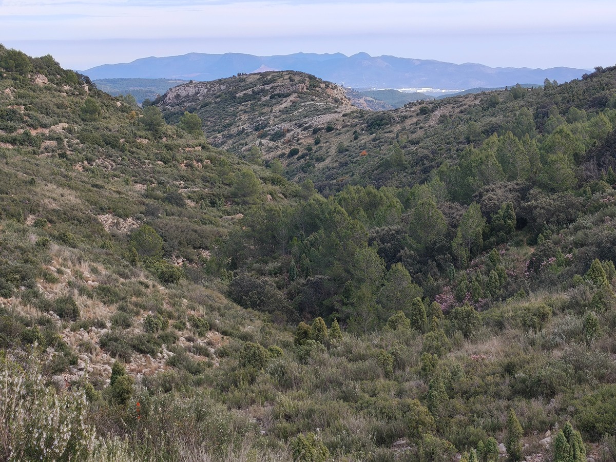 imatge del sender