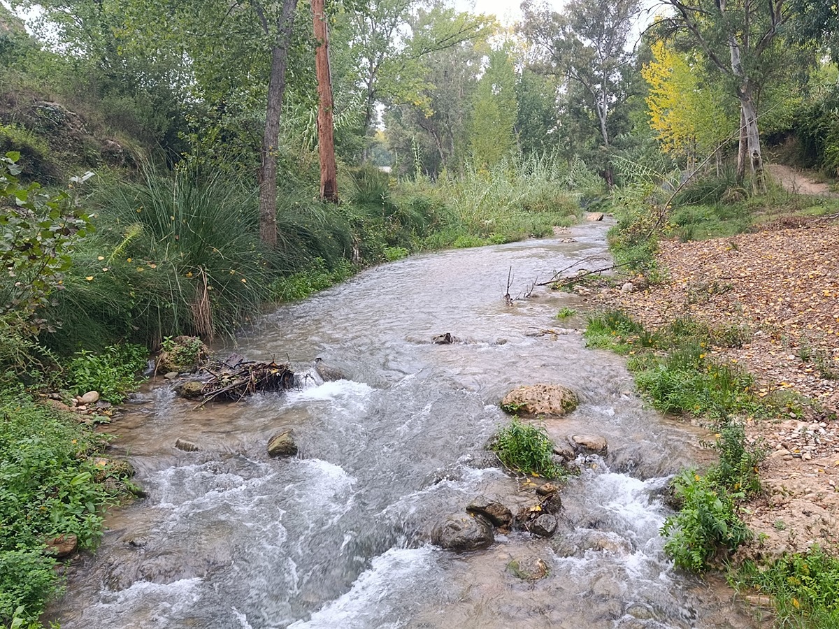 imagen del sendero