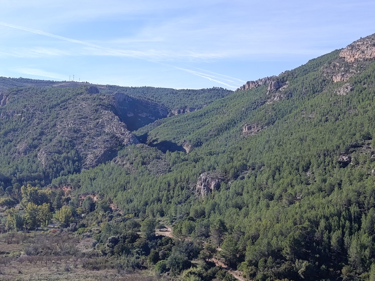 imagen del sendero