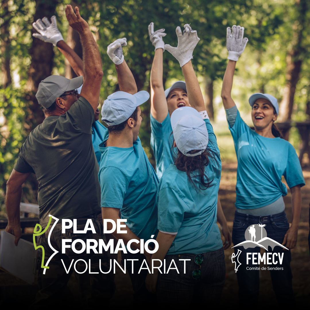 Se lanza el Plan de Formación del Voluntariado de la FEMECV
