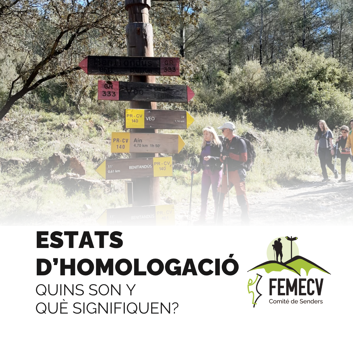 Diferentes estados de homologación. ¿Qué significan?