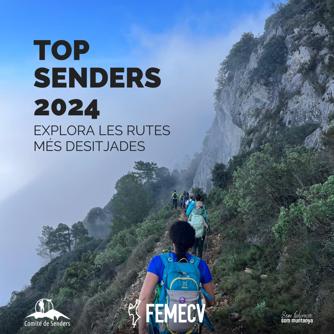 Senders més consultats en 2024