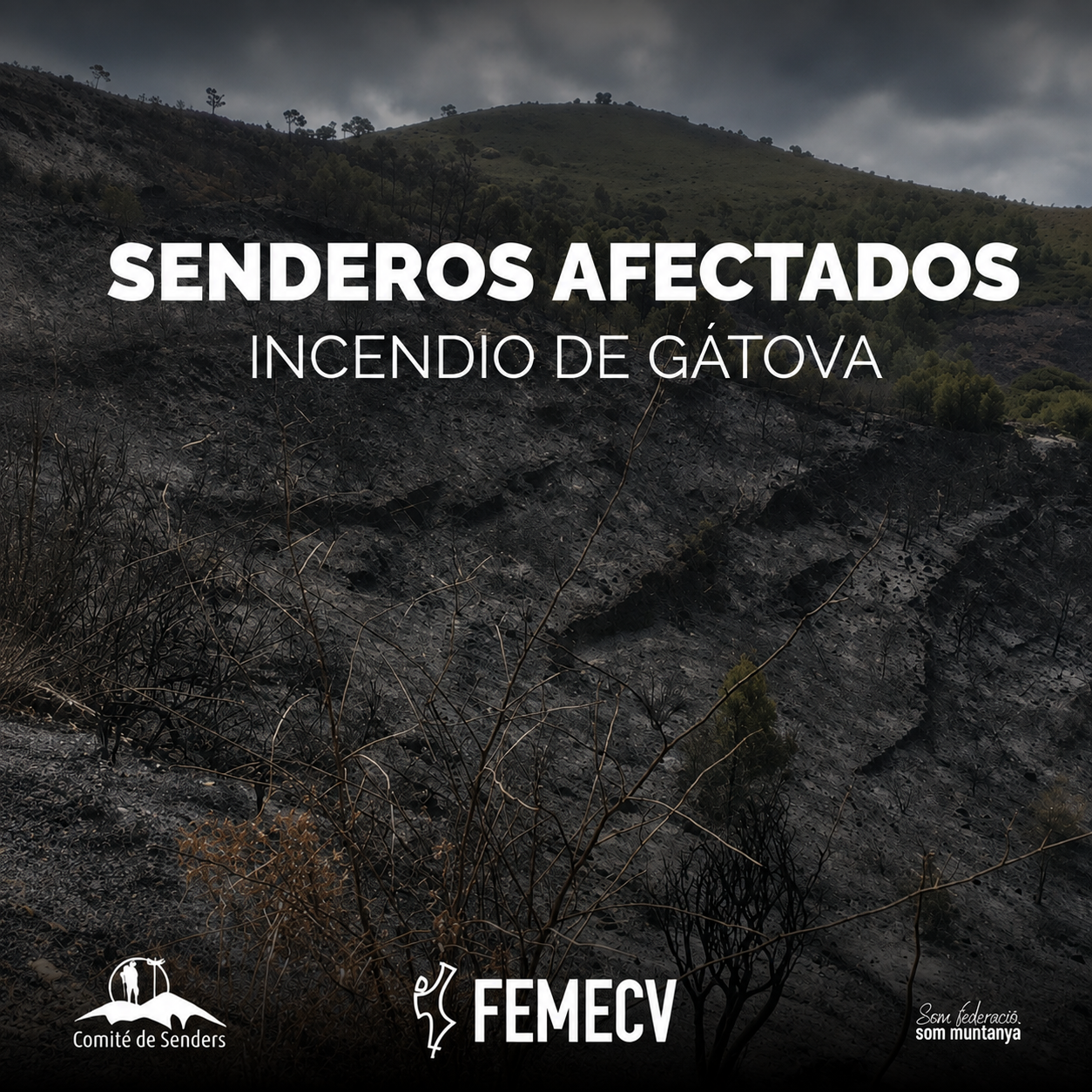L'incendi de la Serra Calderona afecta dos senders a Gàtova